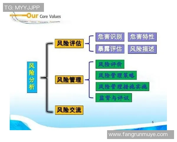 北京攀岩队实力分析与表现评估的全面数据研究报告 北京攀岩队实力分析与表现评估的全面数据研究报告