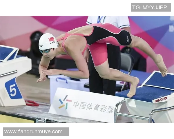 北京乒乓球队如何通过控制革新提升竞技水平与团队协作能力 北京乒乓球队如何通过控制革新提升竞技水平与团队协作能力