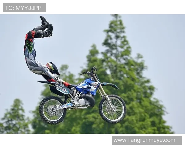 极限运动战术解析：北京极限运动队的反击策略与实战应用